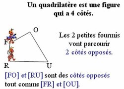 6_quadrilateres-3.jpg